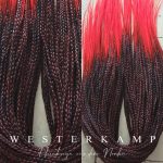 Granatapfel – Bild 2