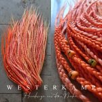 Kürbiskern – Bild 2