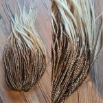 Haselnuss – Bild 2