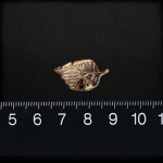 Blattkäfer – Bild 2