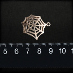 Spinnennetz – Bild 2