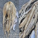 Honigzebra – Bild 2